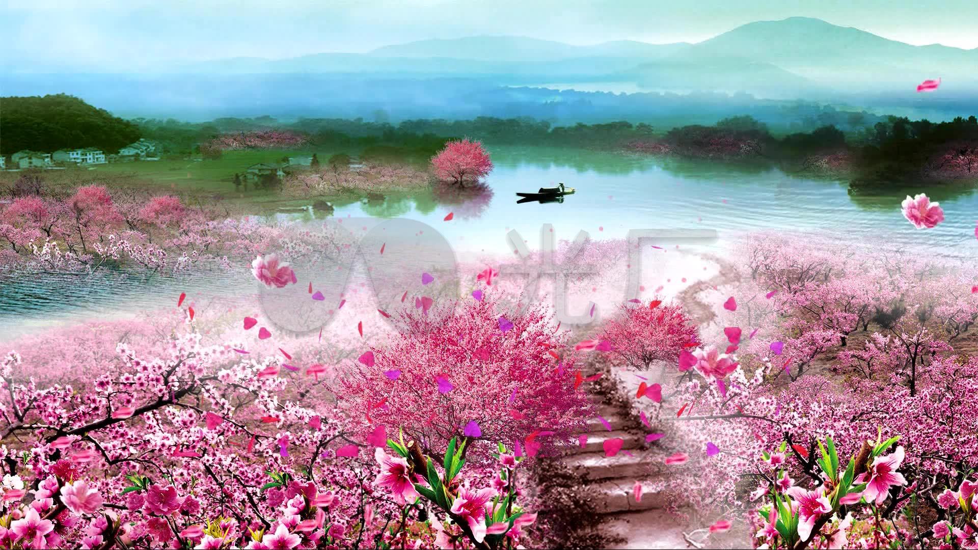 桃花盛开仙境视频素材