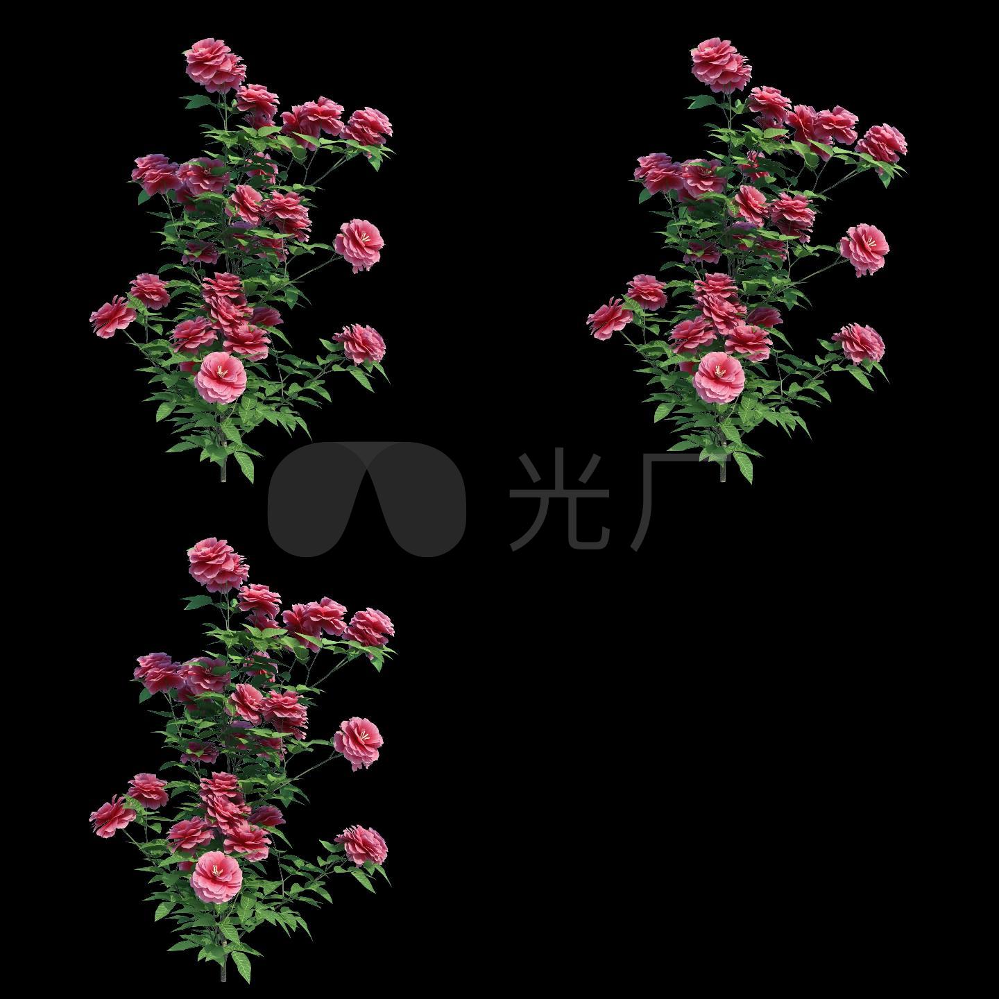 3d花飘动素材(透明通道循环)_1440x1440_高清视频素材