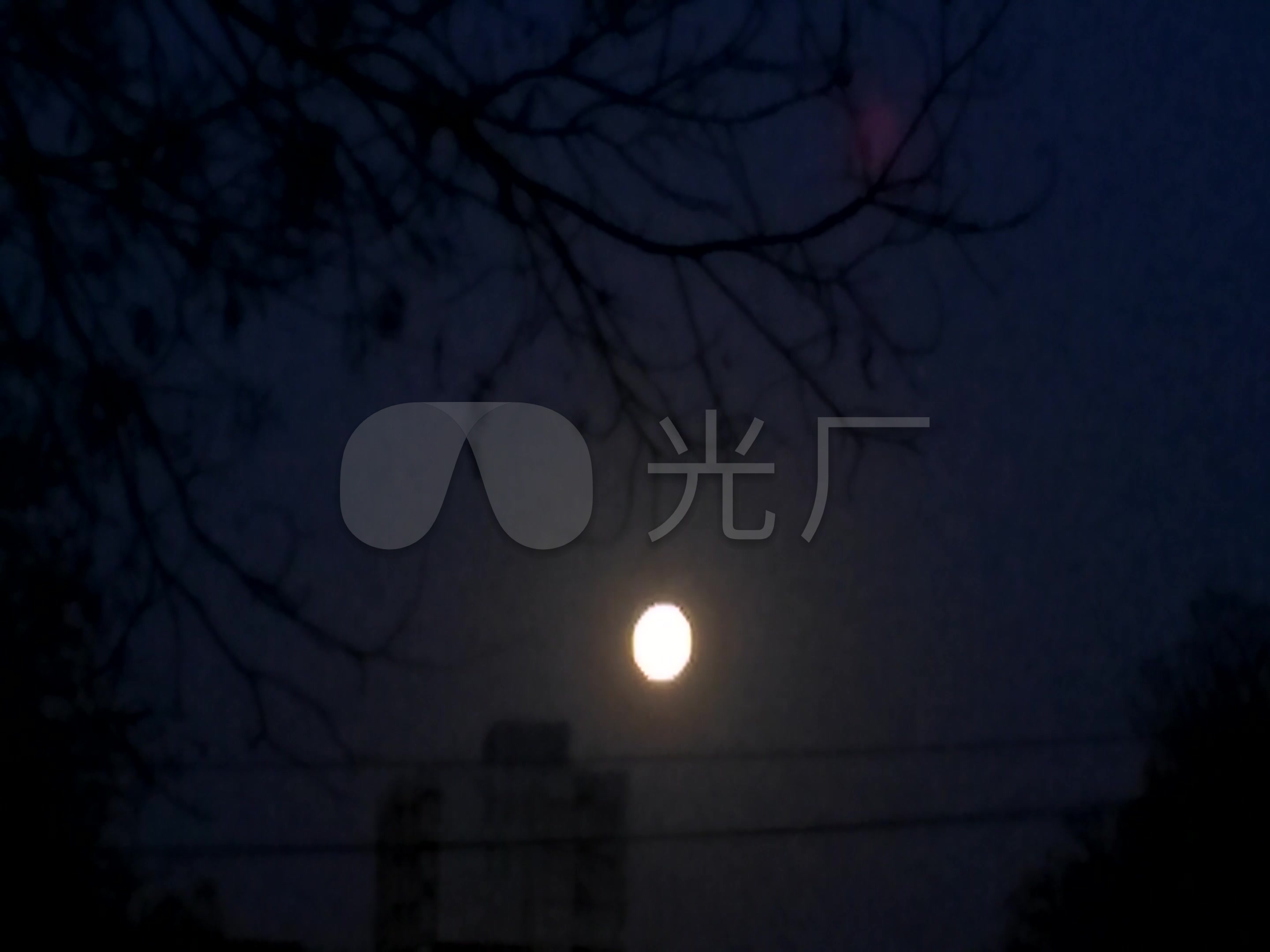 实拍 清晨 月亮 大树 高楼 美景