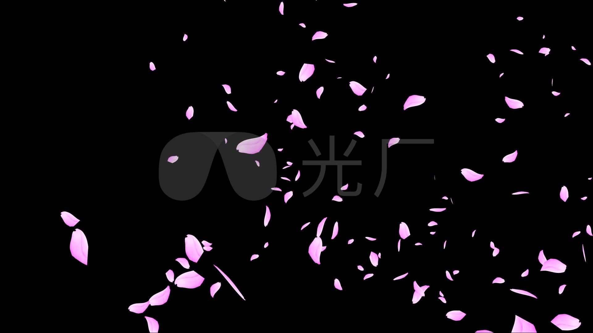 黑色全黑壁纸 1080,黑色全黑壁纸 竖屏 花瓣飘落黑色背景_1920x1080_高清视频素材下载(编号