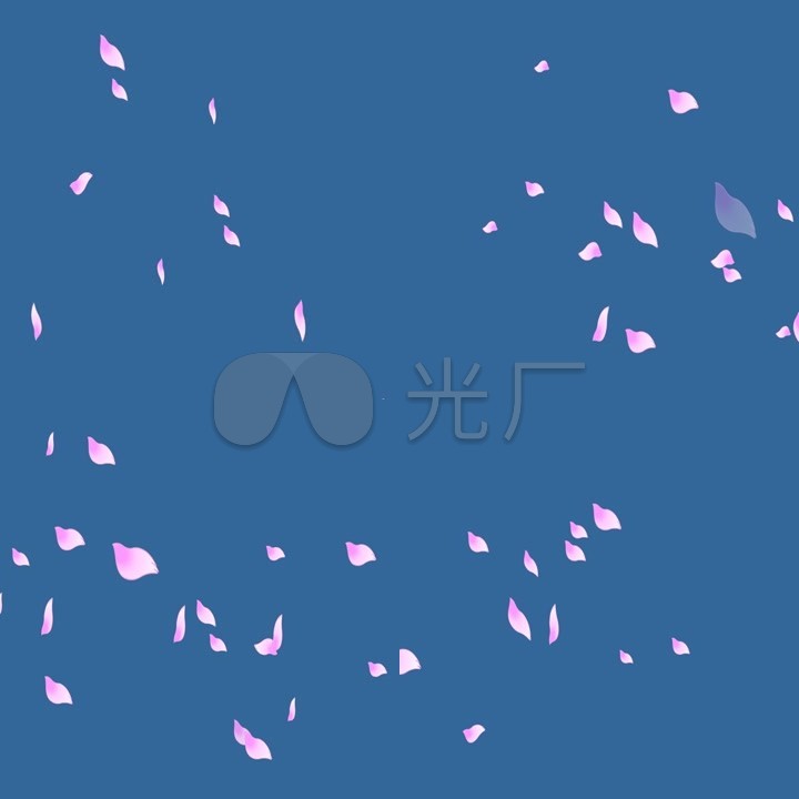 樱花花瓣飘落动画二维flash_flashcs6_其他下载(编号