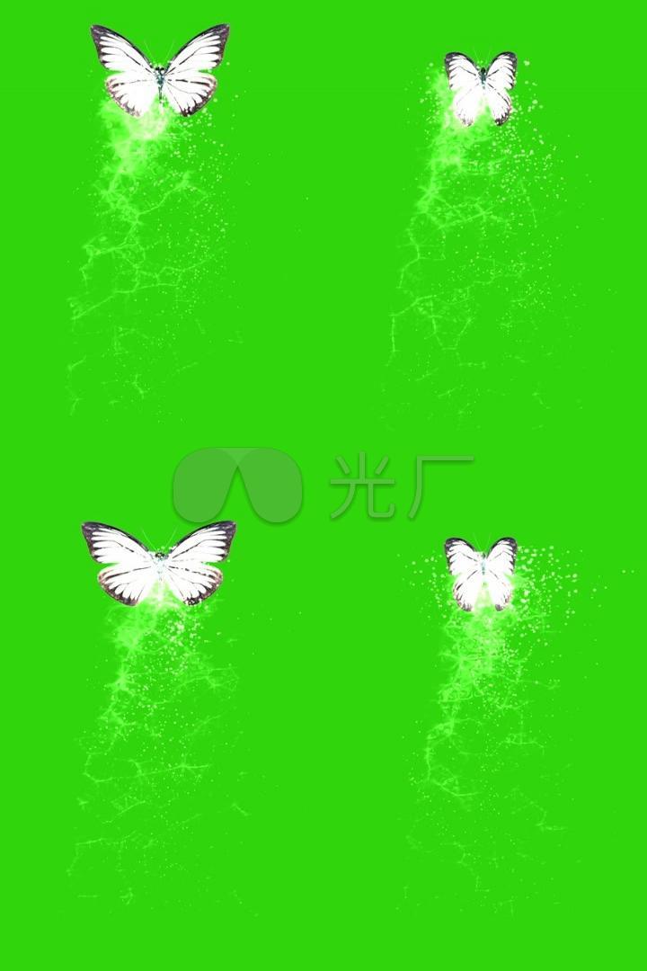 动态白色蝴蝶绿屏抠像素材