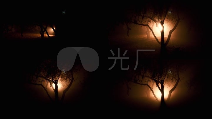 奇异的怪光光芒森林树林逆光诡异