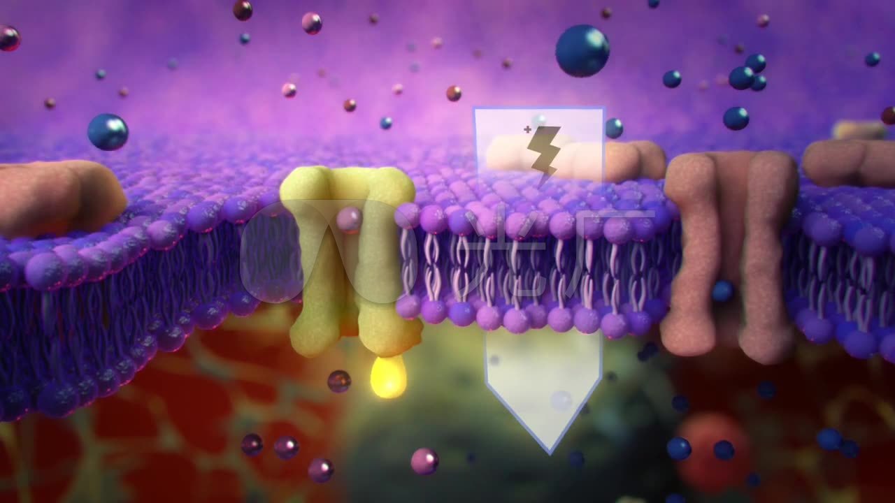 3d医疗人体细胞上皮细胞钠离子通道动画视