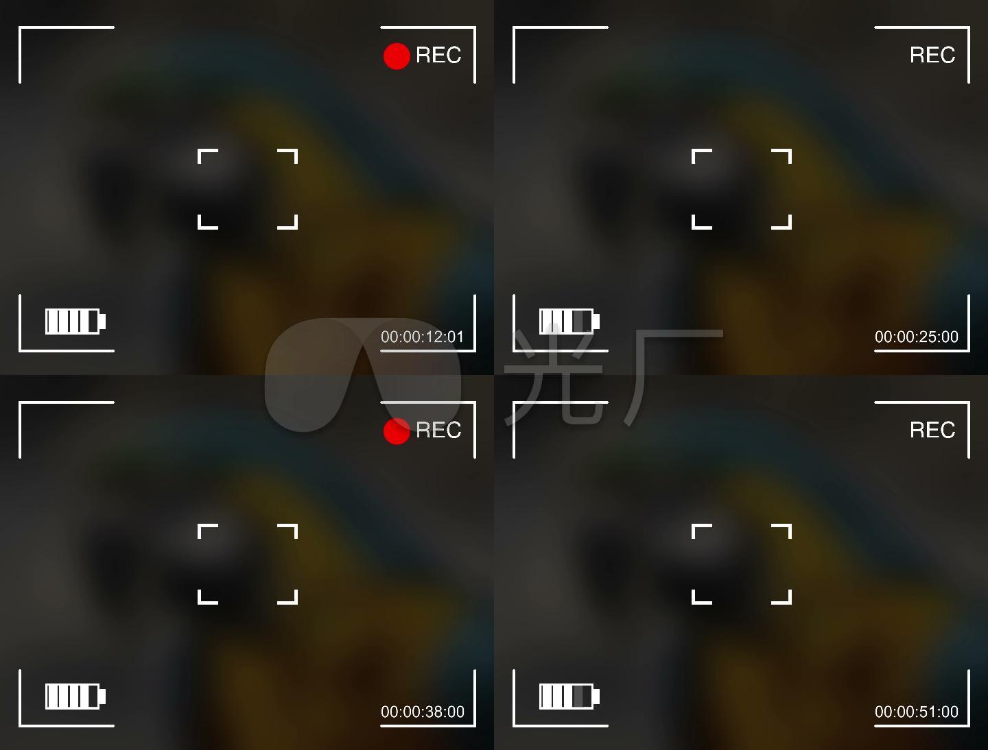 ¼2k(ͨ)