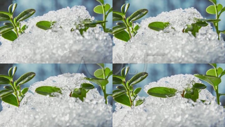 冰雪积雪融化消融冬去春来冰冻世界春天到来视频素材
