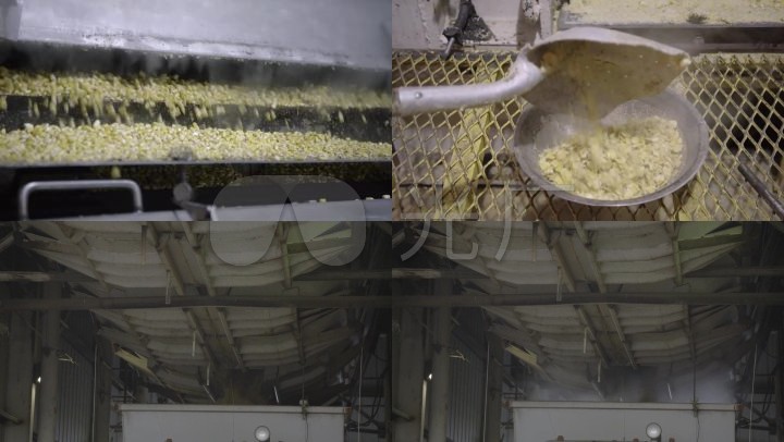玉米_饲料加工生产企业车间厂房_养殖业