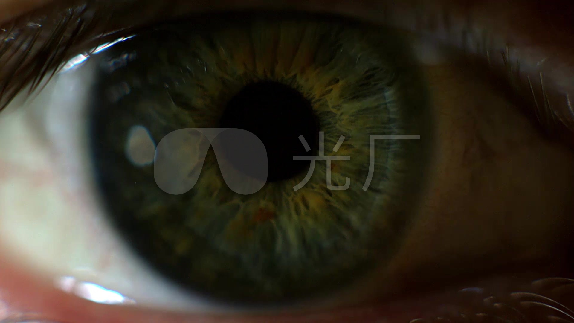 眼睛瞳孔_1920x1080_高清视频素材下载(编号:2292551)