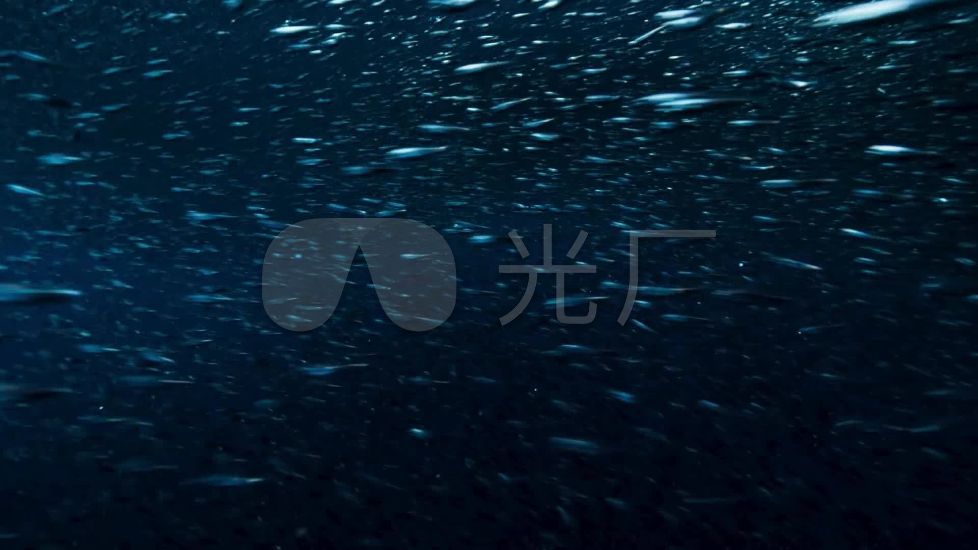 壁纸1920x1080海洋,壁纸1920x1080 鱼群成群结队密集深海海洋海底_1920x1080_高清视频