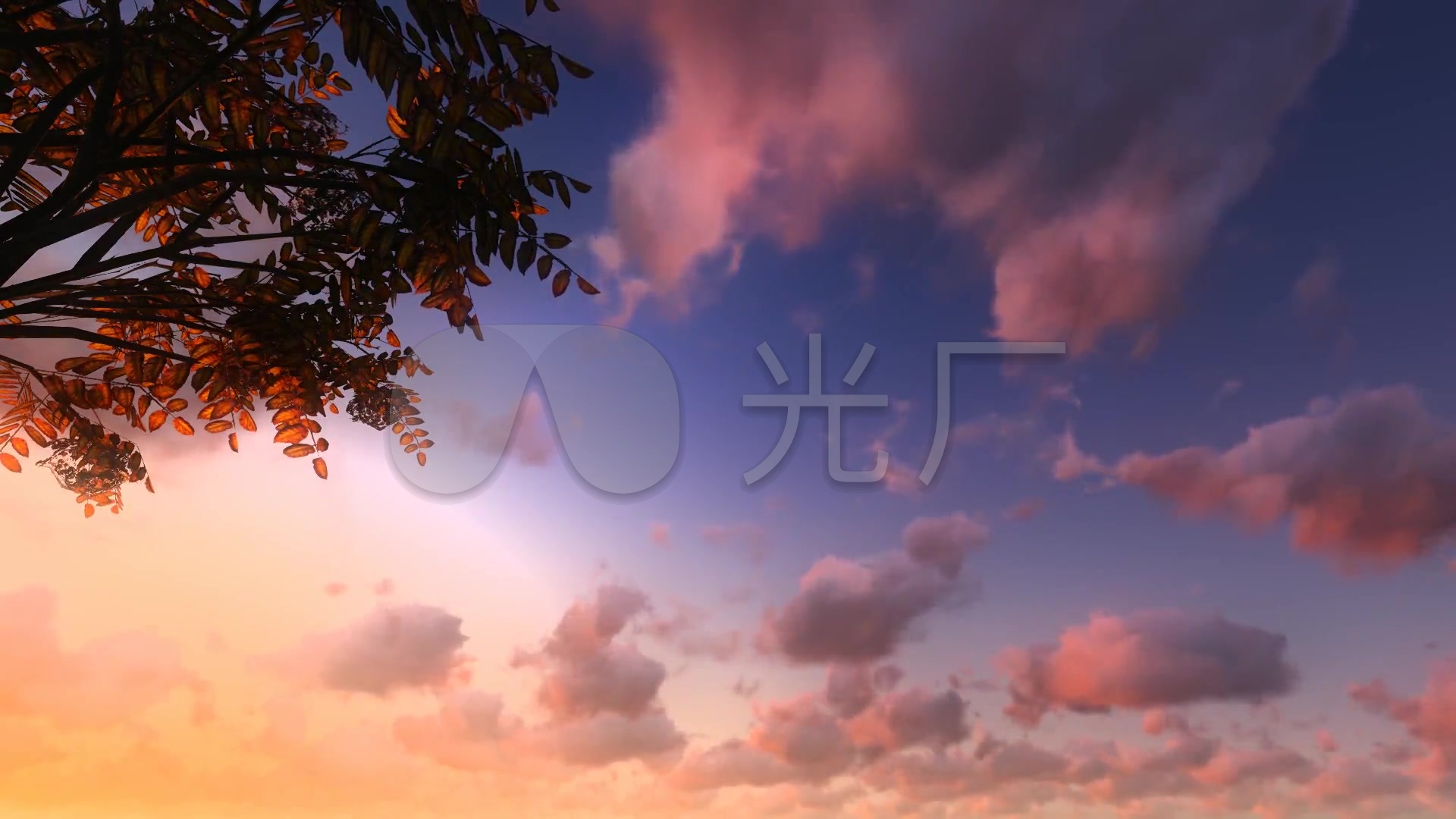 致橡树:朗诵背景
