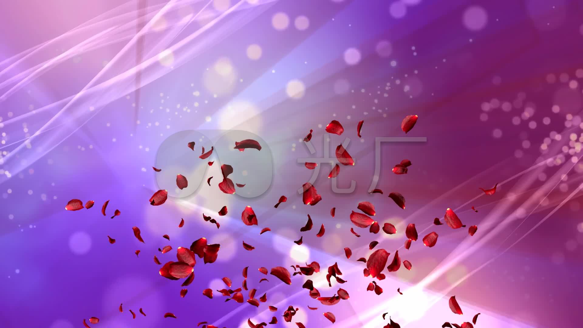 许嵩玫瑰花的葬礼_1920x1080_高清视频素材下载(编号