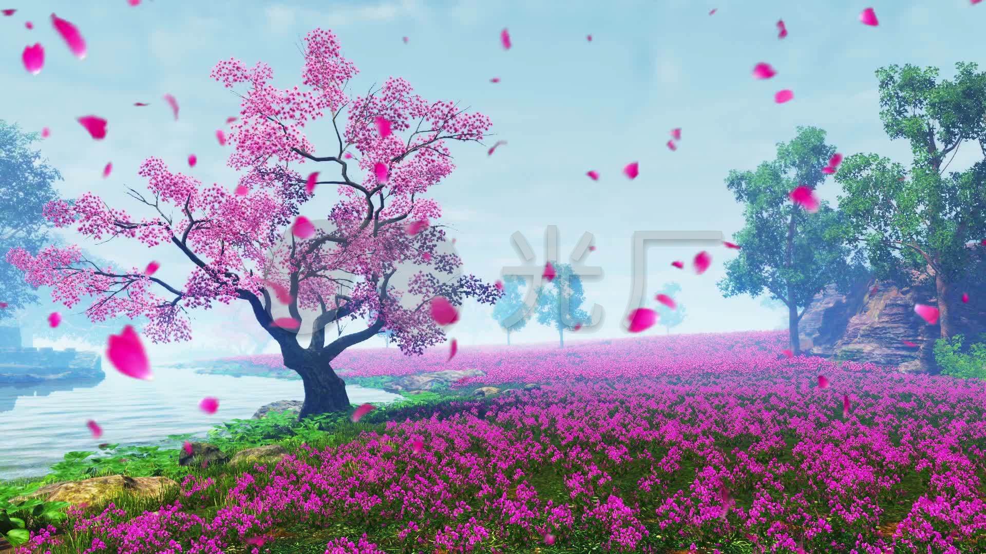 唯美3d花海花瓣树背景_1920x1080_高清视频素材下载