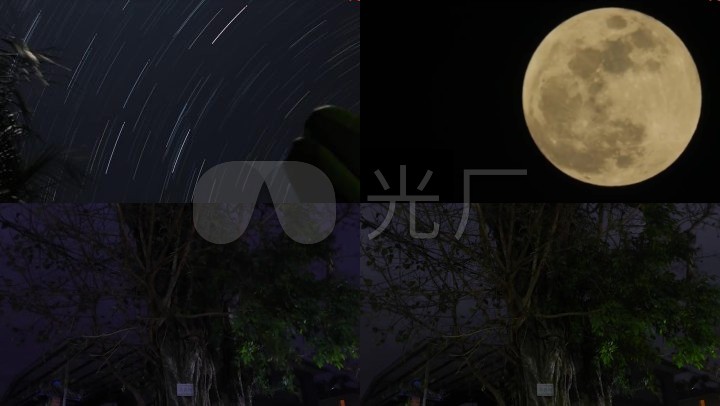 流星月亮菩提树