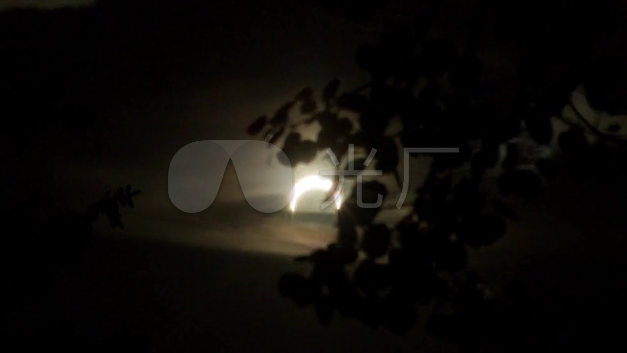视频素材 实拍视频 延时摄影 夜晚月牙划过树梢延时 来自视频原始文件