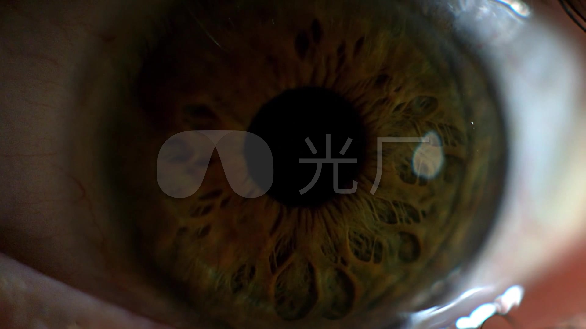 人类瞳孔的大特写