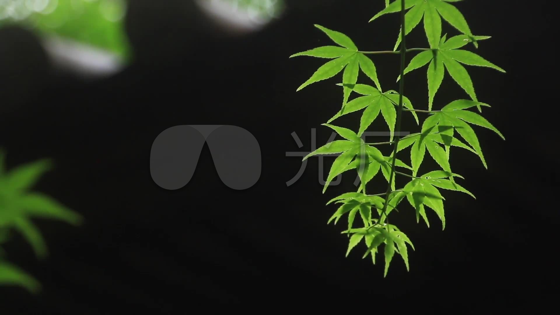 唯美寺庙佛教禅禅意古刹古建筑意境图片