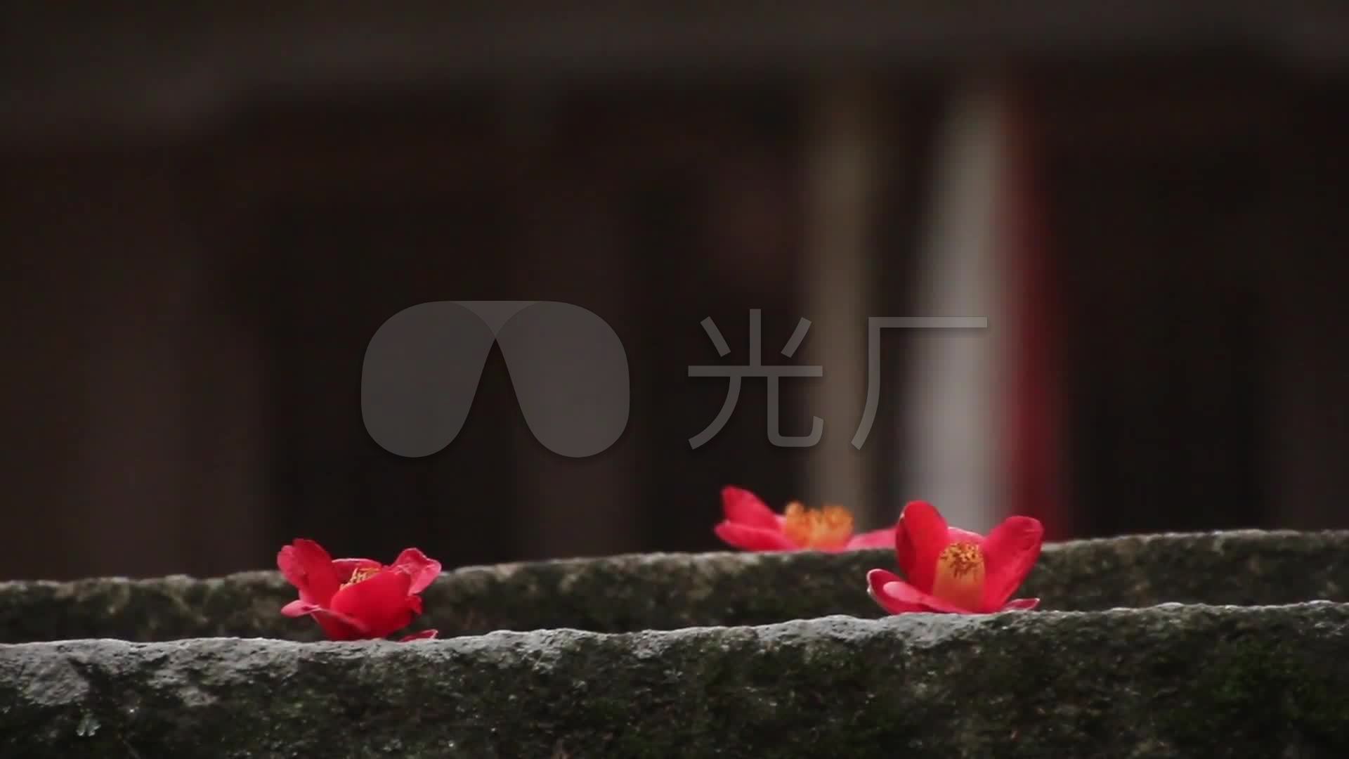 唯美寺庙佛教禅禅意古刹古建筑花儿意境图片