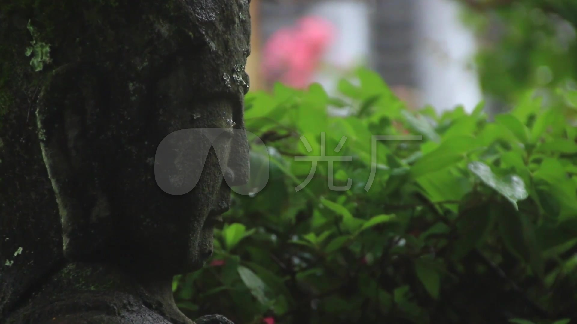 唯美寺庙佛教禅禅意古刹古建筑花儿意境图片