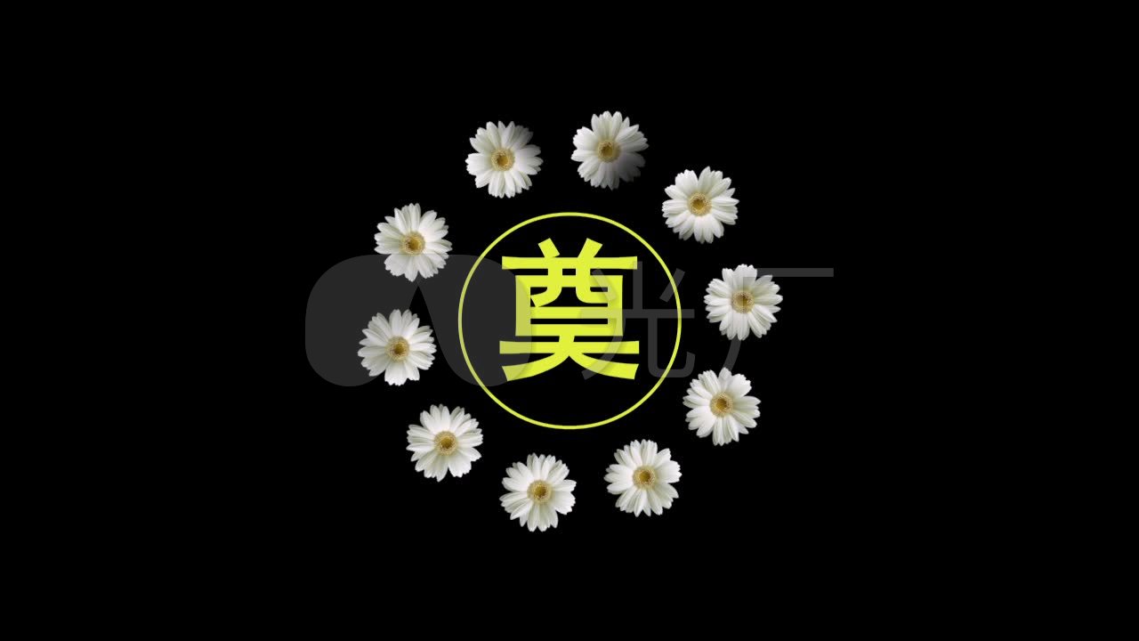 白花转圈动态奠字