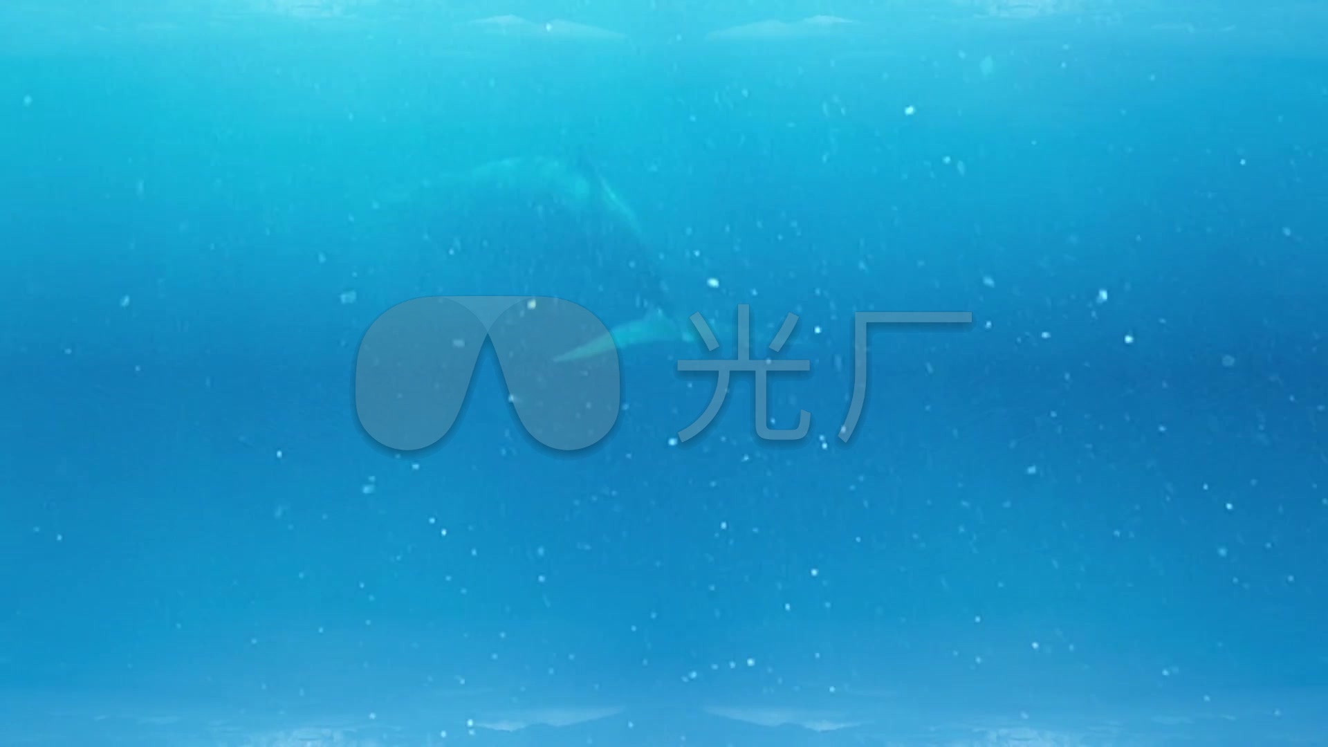 唯美深海鱼群跳舞vj视频素材