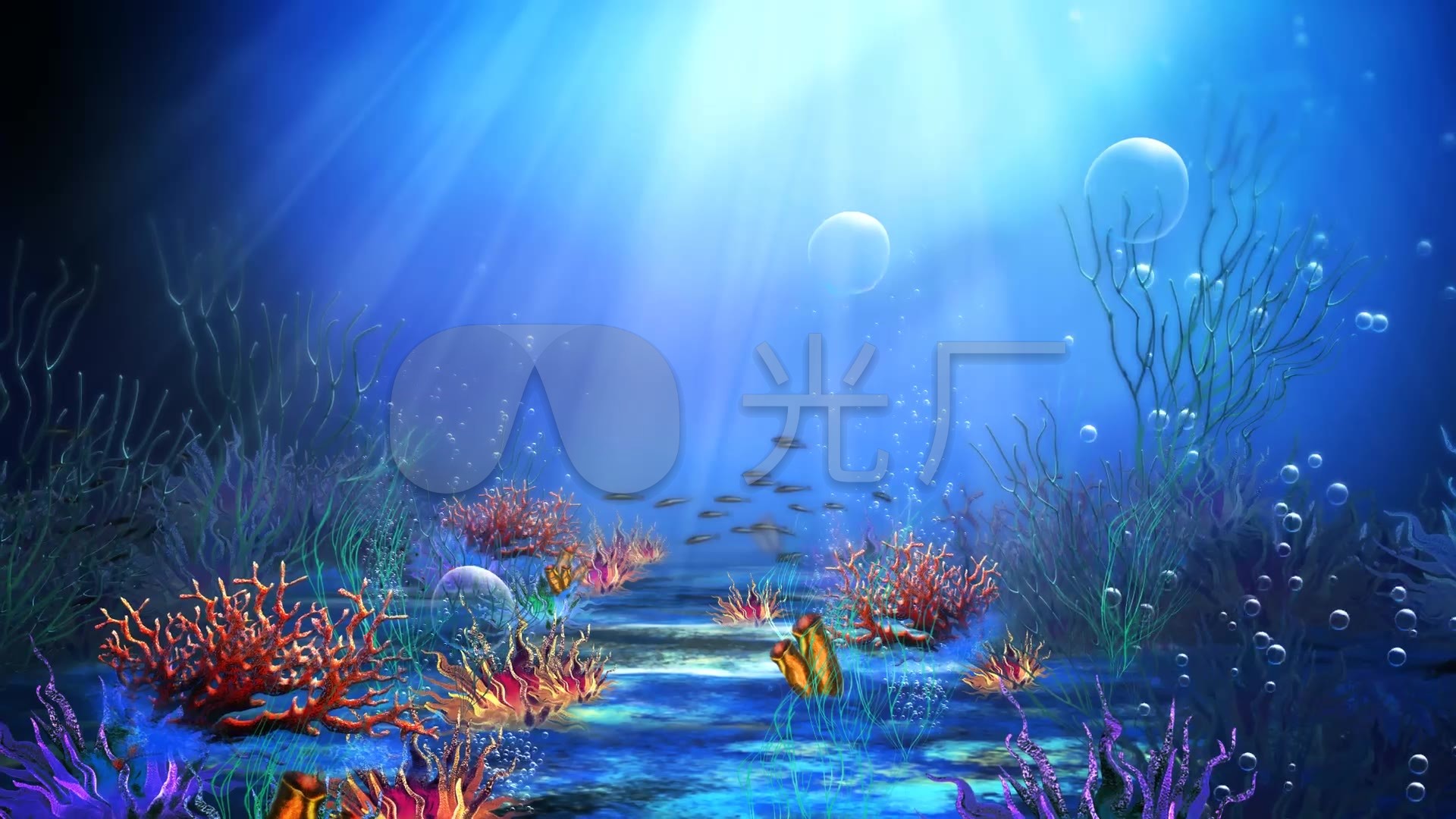 海底游鱼,海洋世界,海底阳光