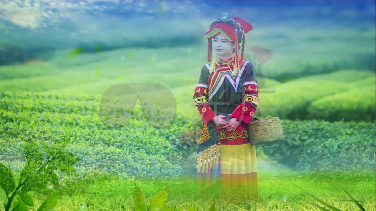 歌曲《阿里山的姑娘》背景视频_1280x720_高清视频(:)