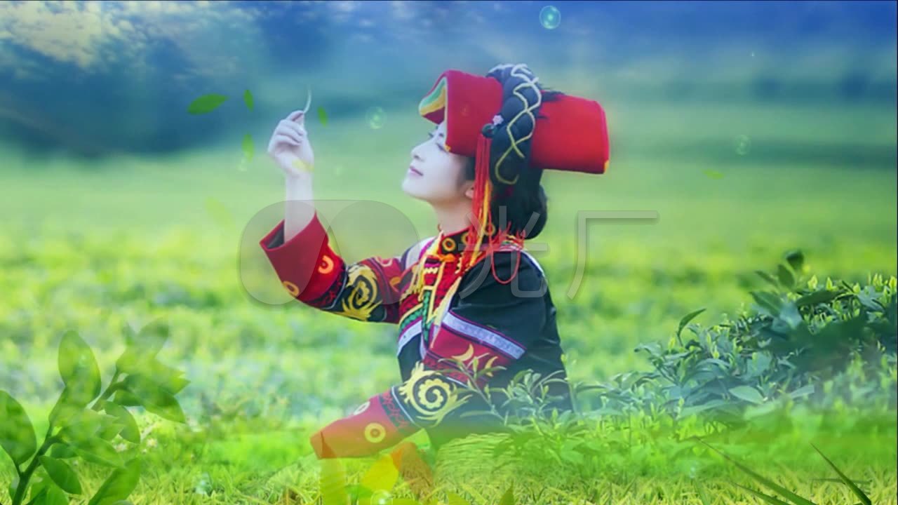 歌曲《阿里山的姑娘》背景视频_1280x720_高清视频(:)