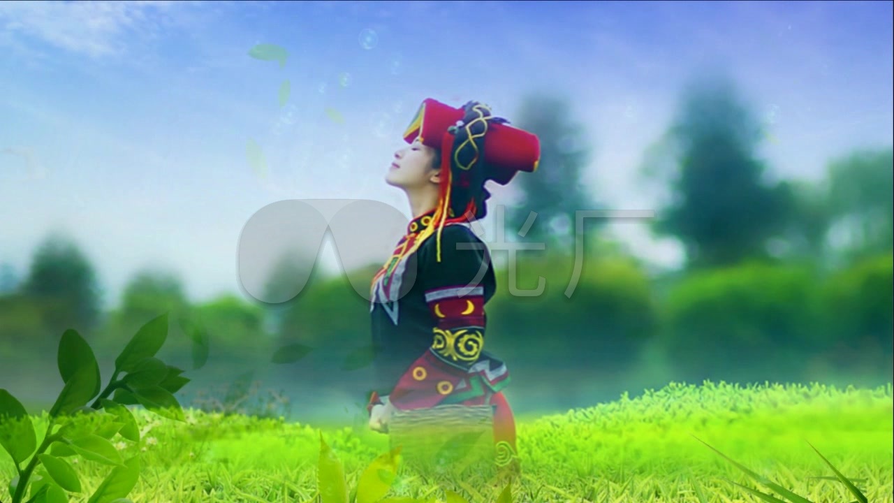 歌曲《阿里山的姑娘》背景视频_1280x720_高清视频(:)
