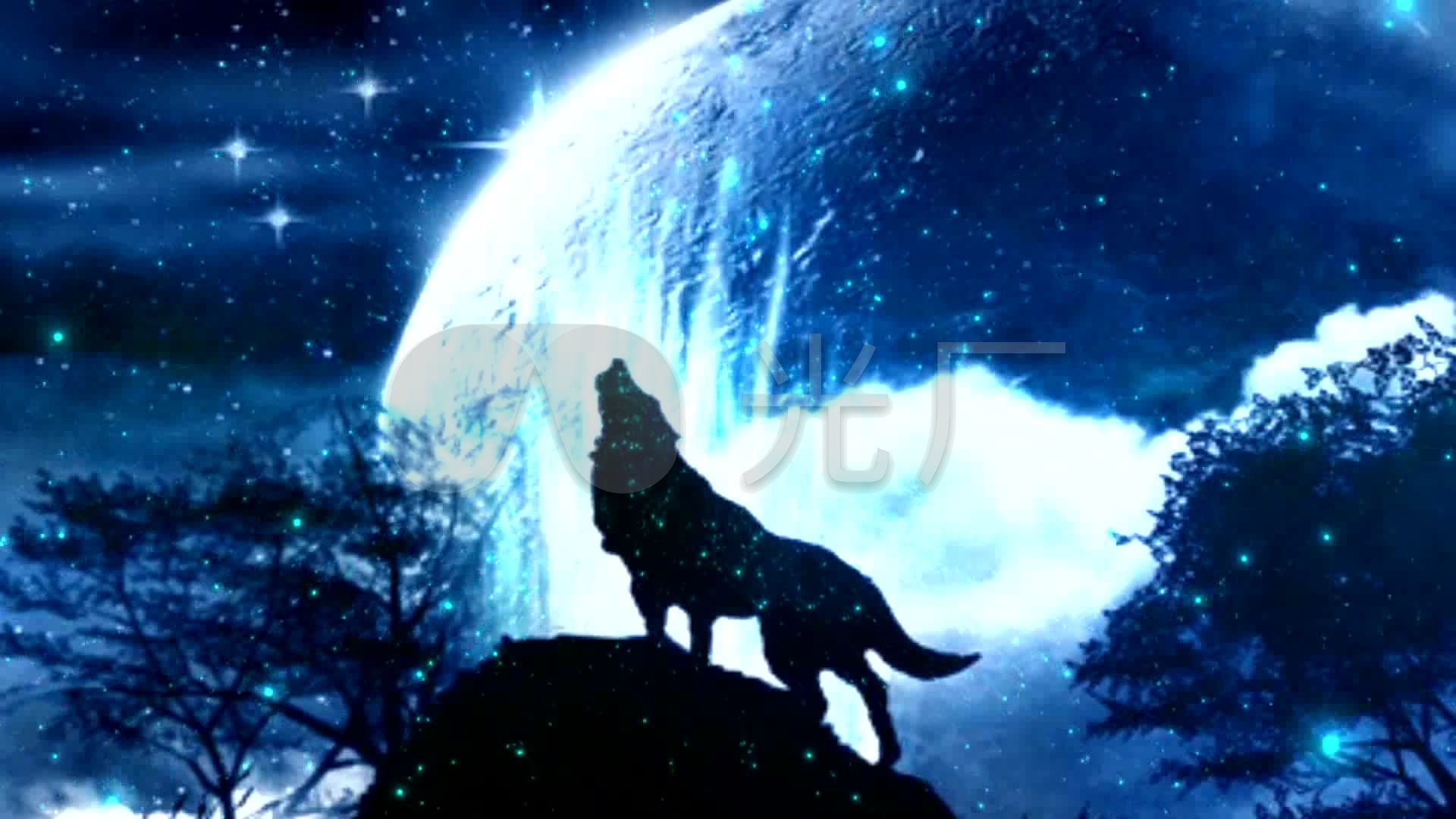 月圆之夜漫天星空狼嚎