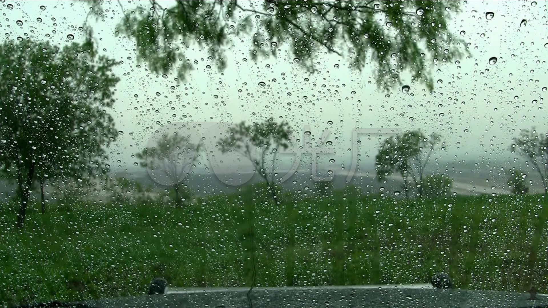 下雨天路边景色素材_1920x1080_高清视频素材下载(:)