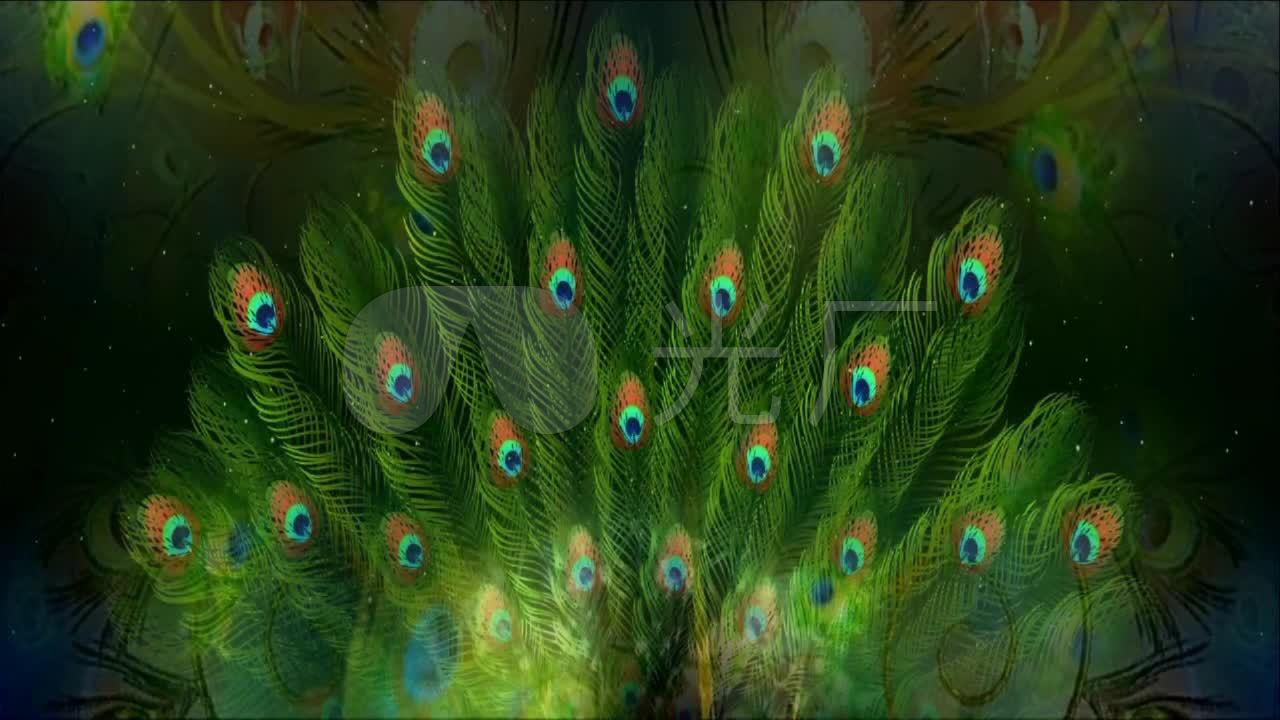 歌曲《美丽的金孔雀》背景视频