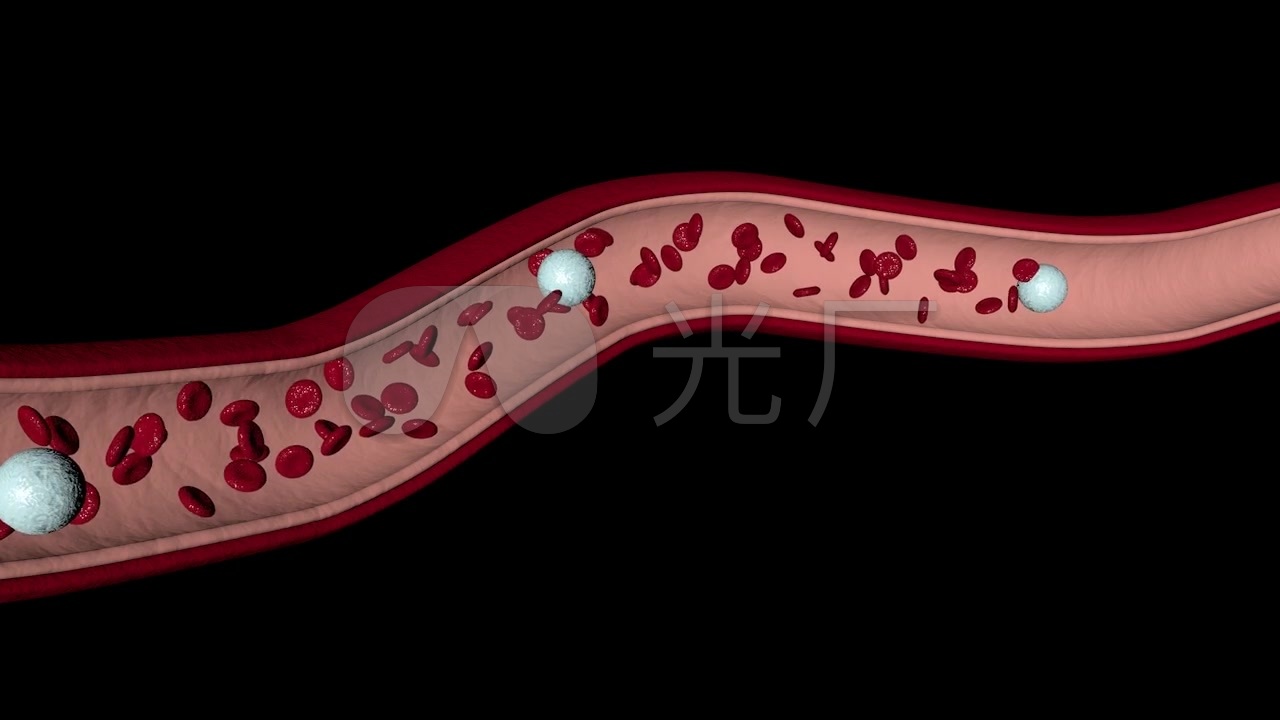 血管血液流动三维机理动画