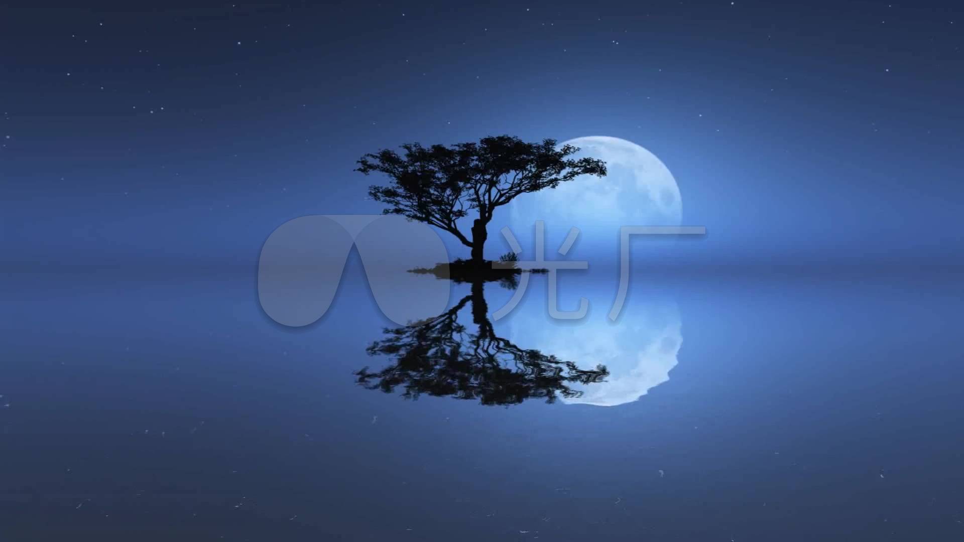 水面倒影_1920x1080_高清视频素材下载(编号:2403757)