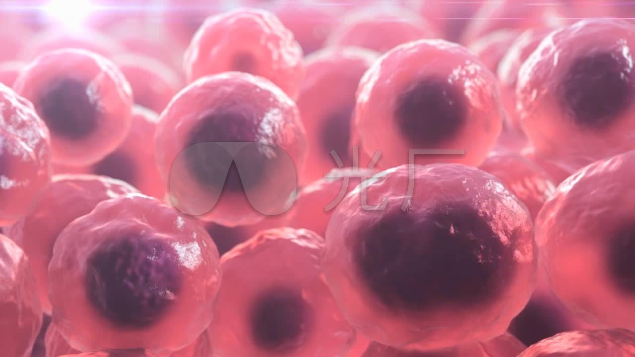 精子卵子受精卵胚胎婴儿_1280x720_高清视频素材下载