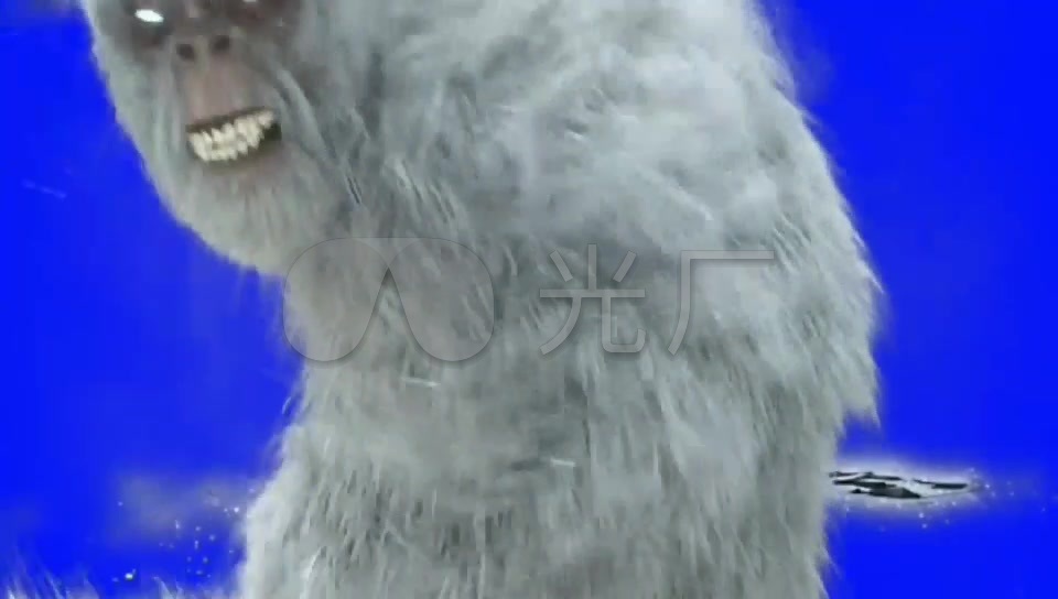 白猿猴_960x544_高清视频素材下载(编号:2413649)__vj