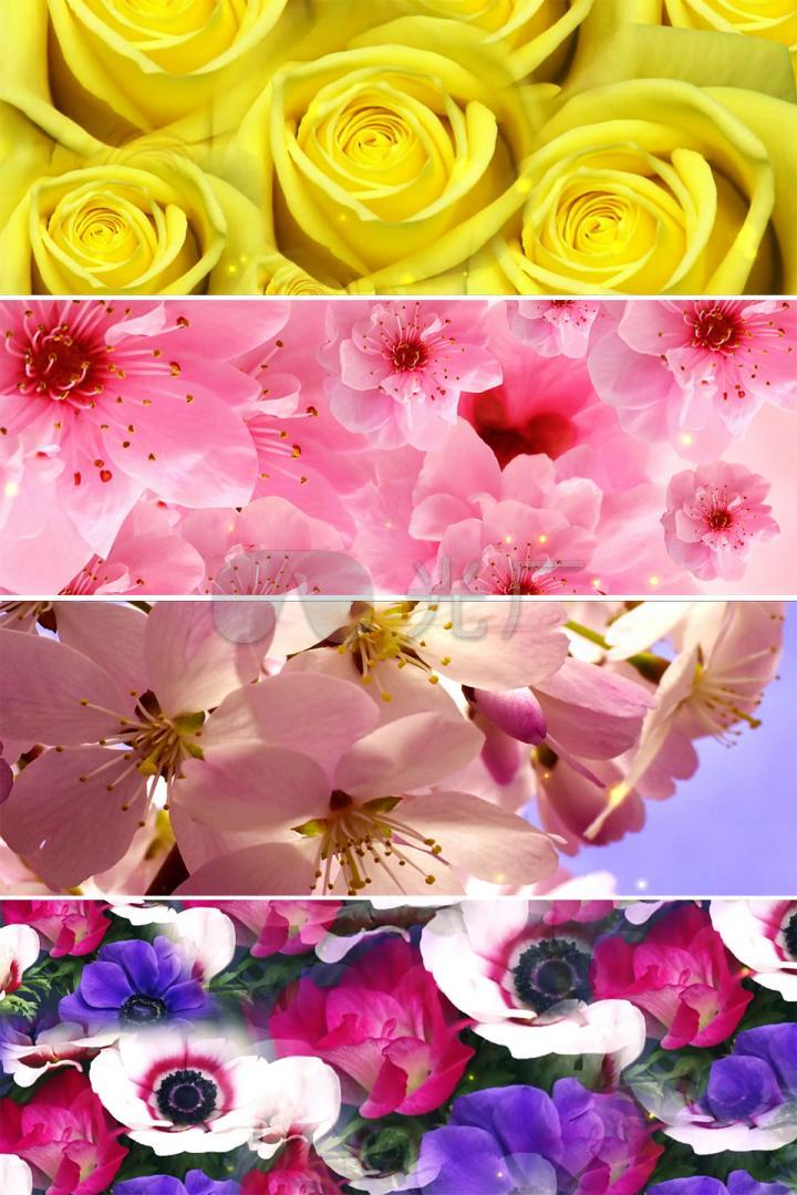 鲜花背景