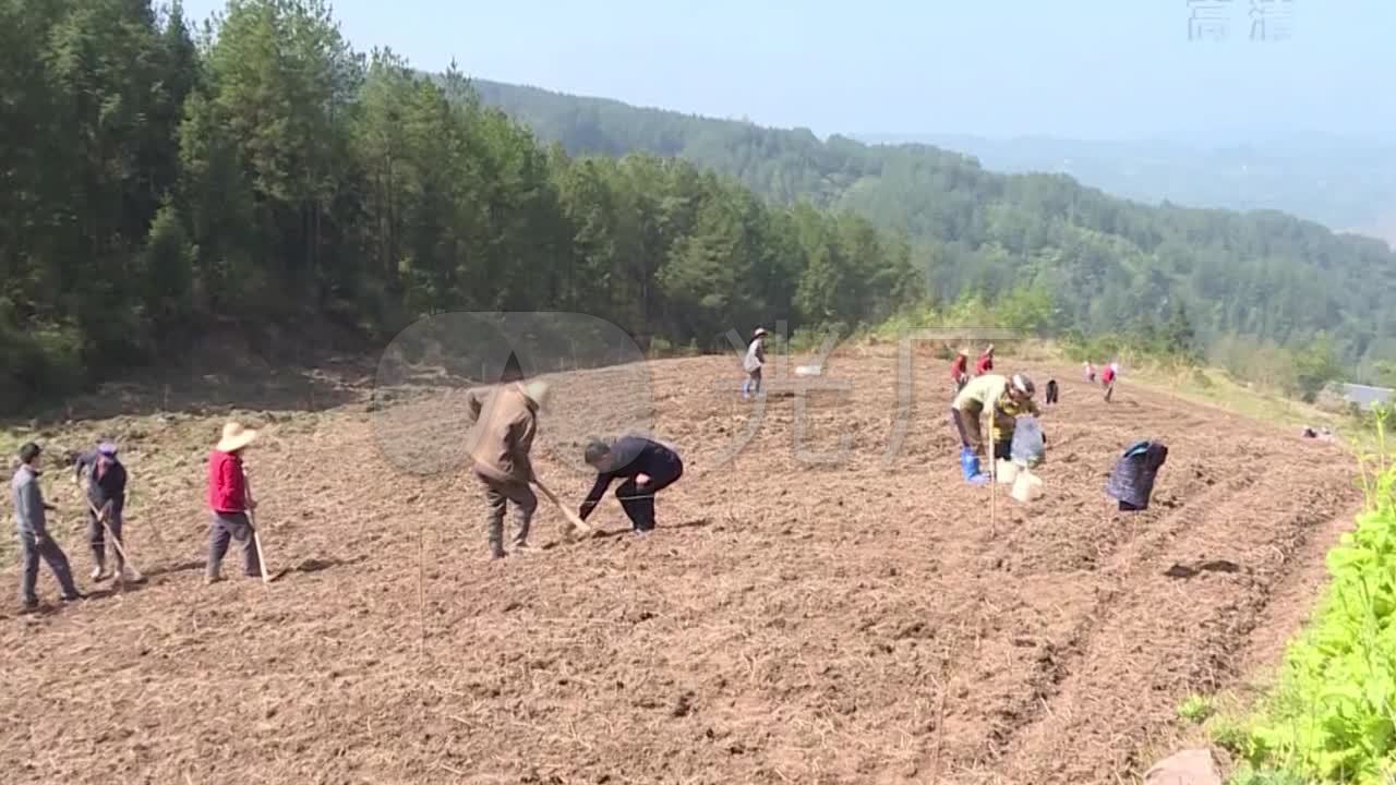 农村农民村民种地劳动视频素材_mp4_6下载(编号:)__vj