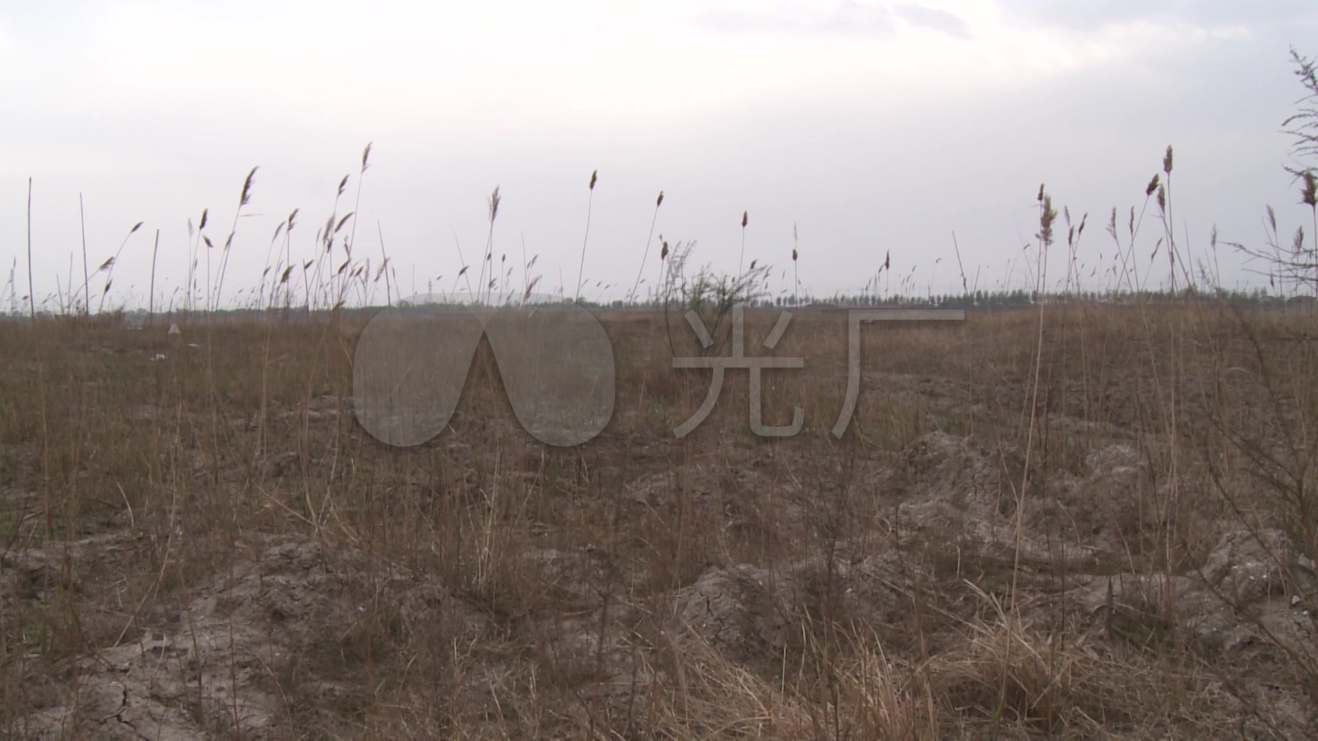 【原创】农田荒废,耕地破坏,开荒_1920x1080_高清视频素材下载(编号