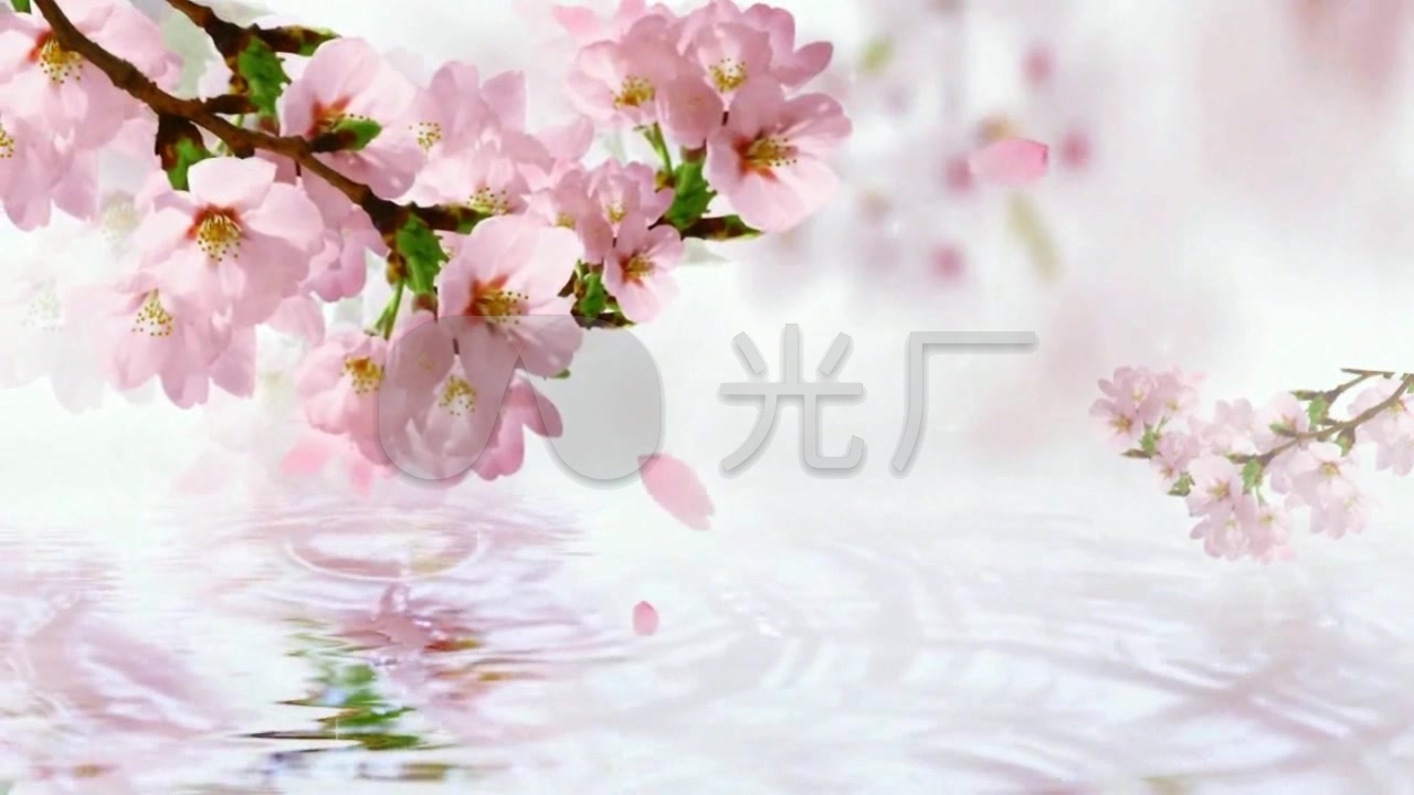 歌曲《桃花流水》背景视频