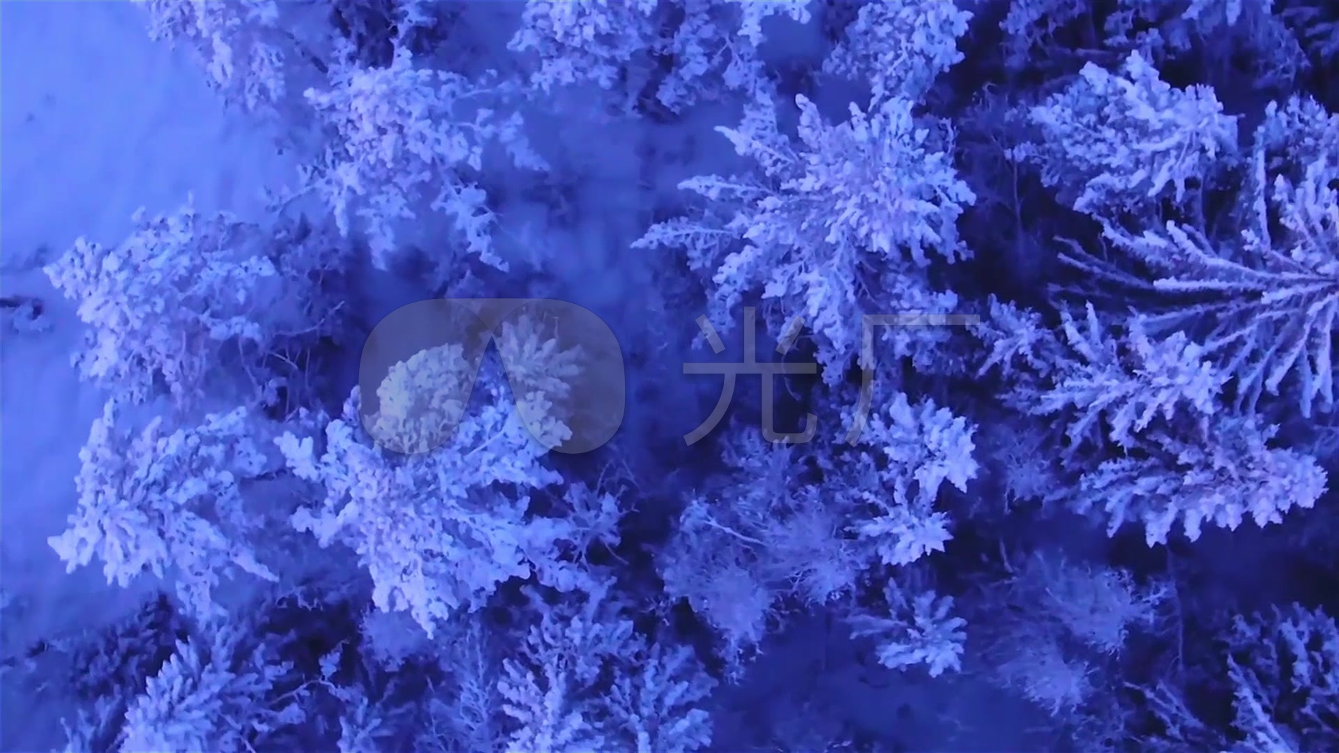 唯美冬天雪花冰晶雪景_1920x1080_高清视频素材下载