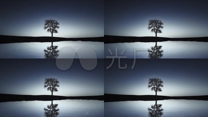 已实名签约 唯美夜空星空倒影树循环背景树影湖面孤独估计凄凉树湖面