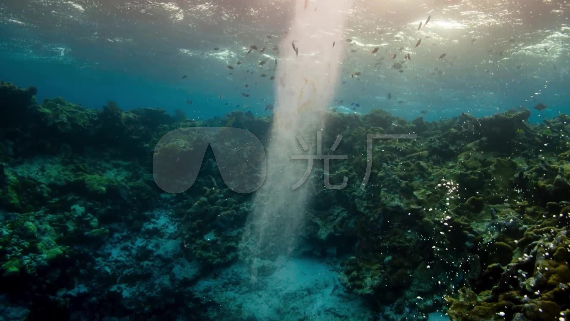 海底龙卷风成型过程鱼群水泡旋