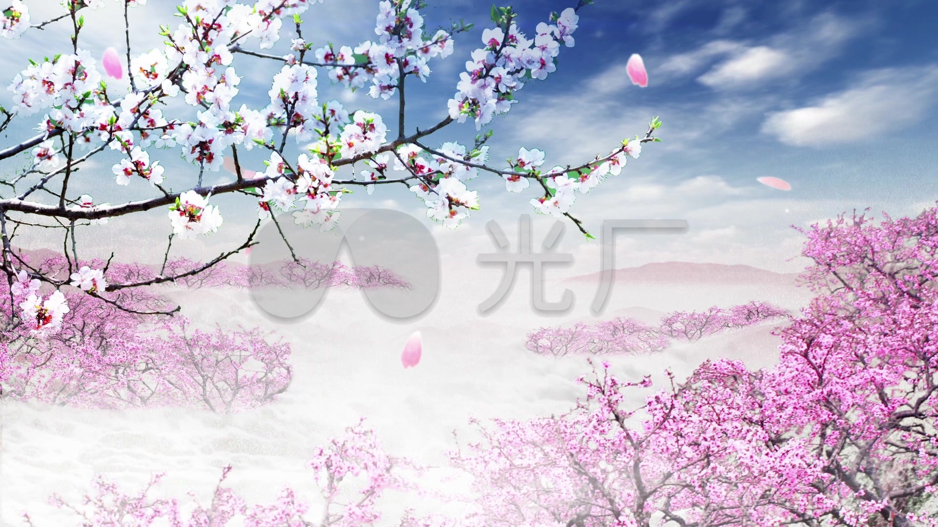 歌曲女儿情大屏幕背景视频_1920x1080_高清视频素材