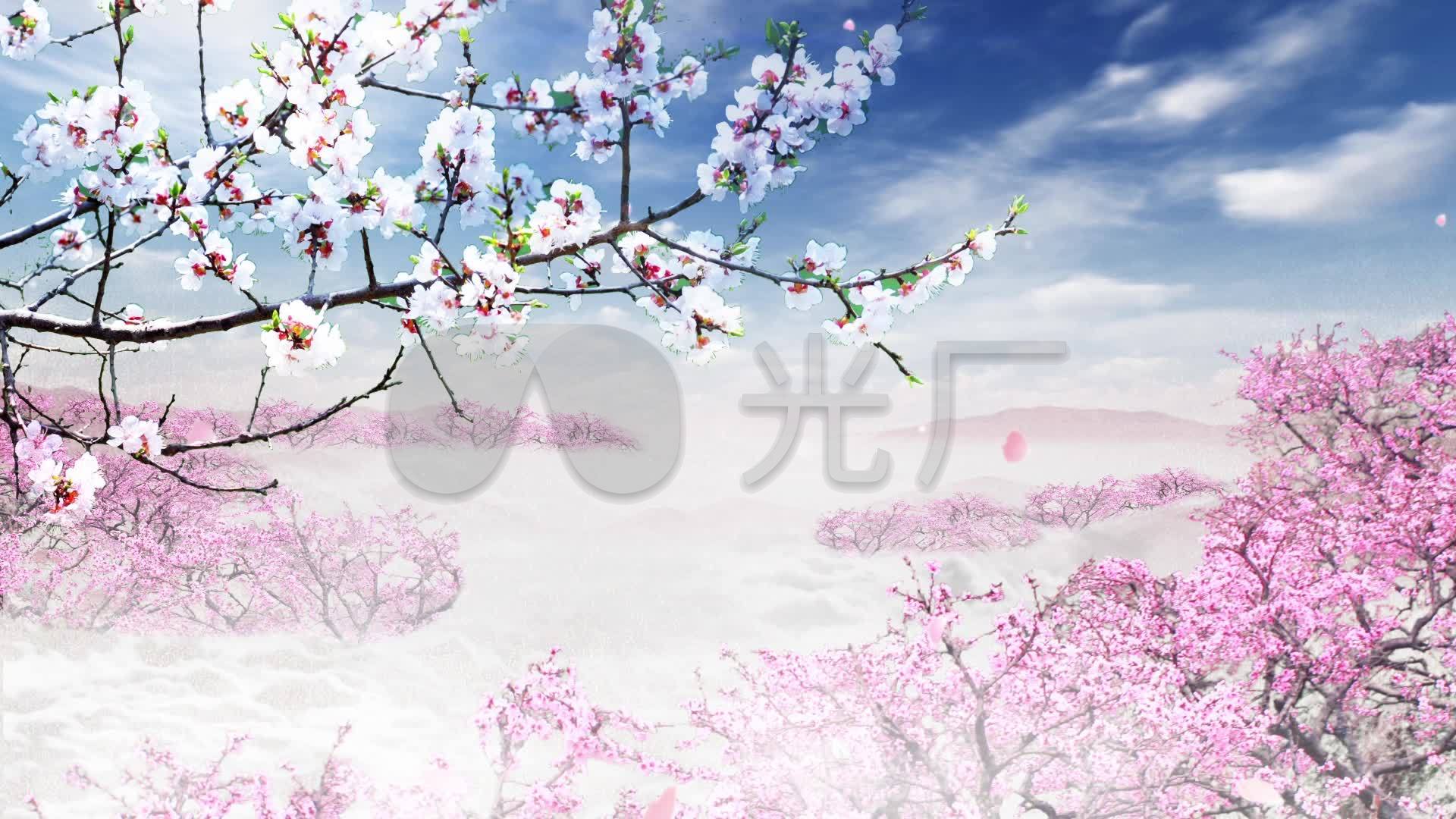 桃花林
