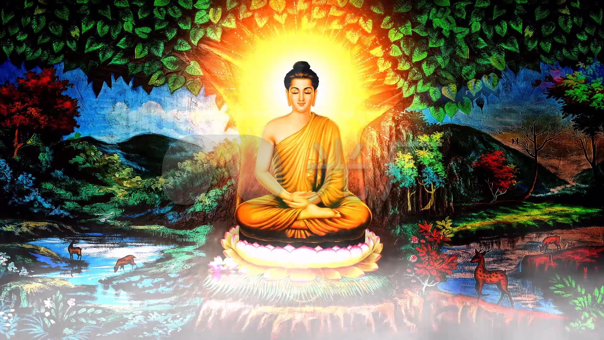 佛光普照佛祖宗教动态背景素材12
