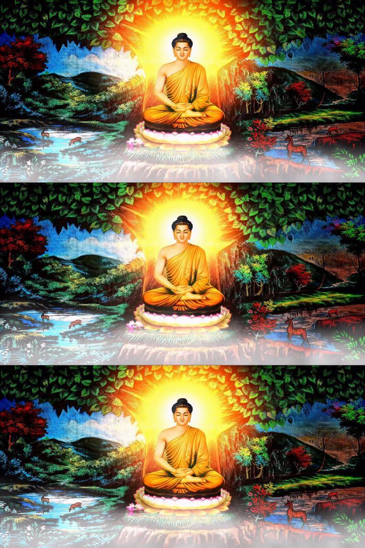 佛光普照佛祖宗教动态背景素材12