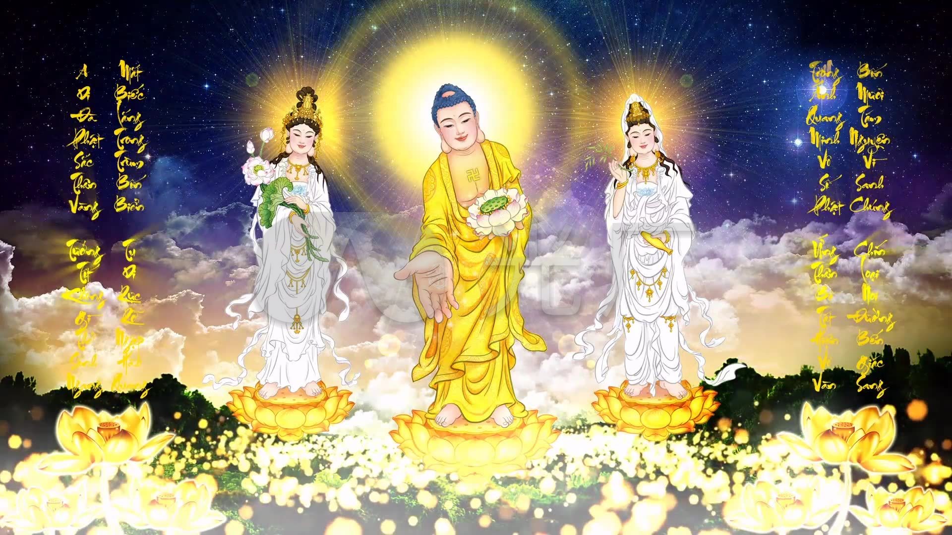 佛光普照佛祖宗教动态背景素材18