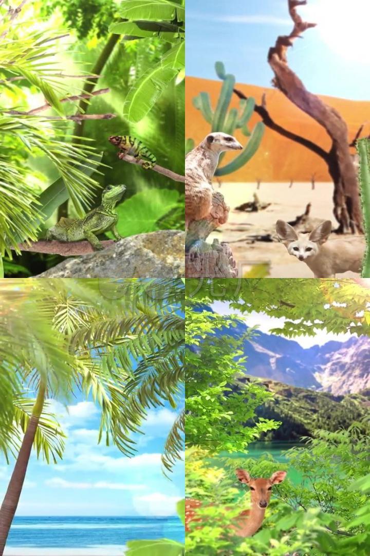 3D唯美梦幻原始森林动物世界海底世界竖屏