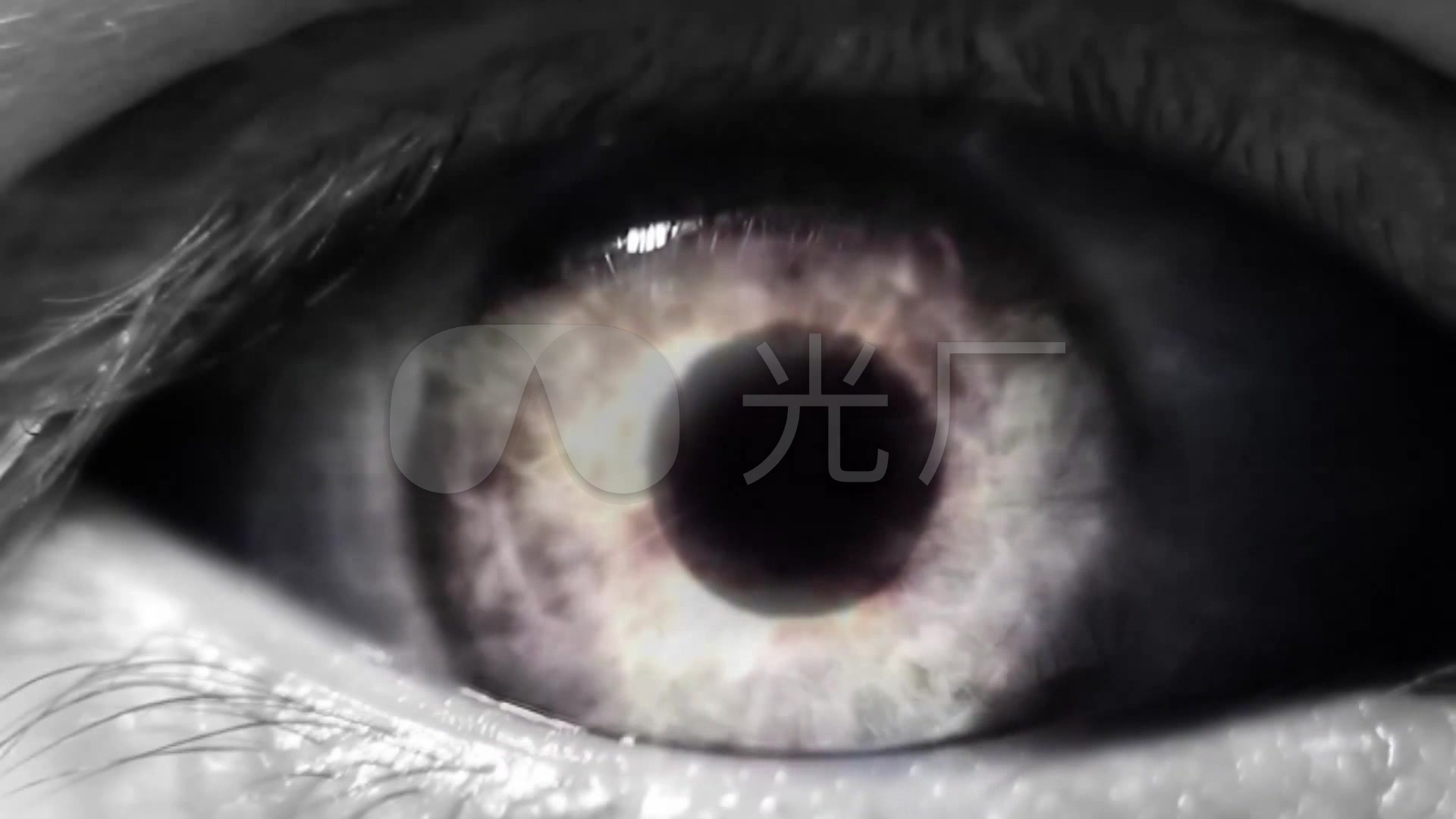 睁开的眼睛与放大缩小的瞳孔