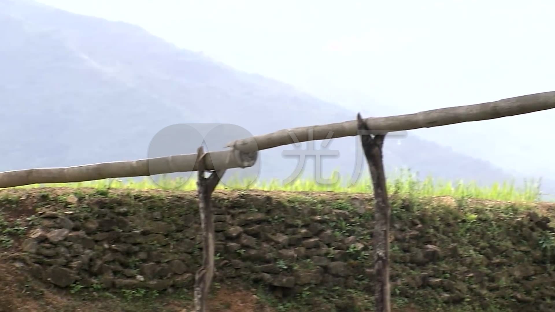 竹子做成的引水渠引水灌溉田地